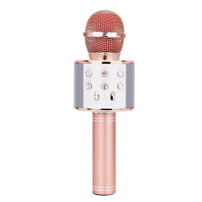 Wireless Microphone Portable Bluetooth Mini Speaker